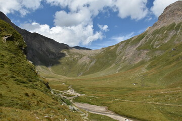 Fototapeta na wymiar panorama di valle alpina alpine valley panorama