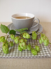 Hops tea, herbal tea with hop flowers