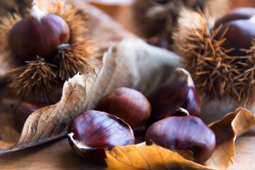 natural chestnuts on the wooden table