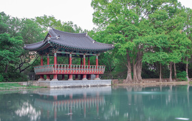 Fototapeta premium Korean architecture pond pavilion reflection in Denman Estate Park San Antonio Texas