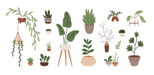 Potted plants set. Leaf houseplants in planters, indoor flowerpots, vases. Different growing foliage decor for modern home interior decoration. Flat vector illustrations isolated on white background
