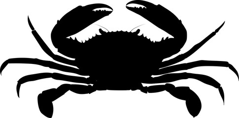 Sea crab is a favorite dish of many people. Silhouette - obrazy, fototapety, plakaty