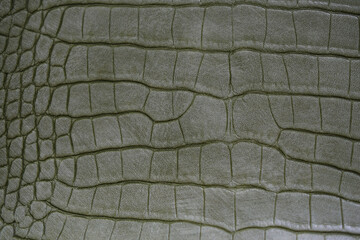 Crocodile bone skin texture background. Green Leather background and texture.