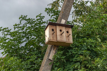 Those places are a nest for birds