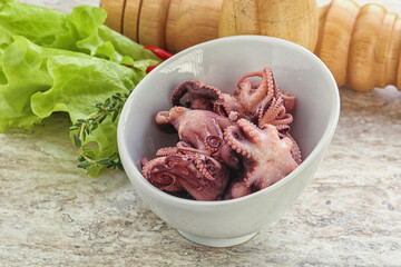 Marinated baby octopus seafood in the bowl
