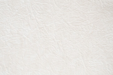 Genuine leather texture background. White canvas texture background.
