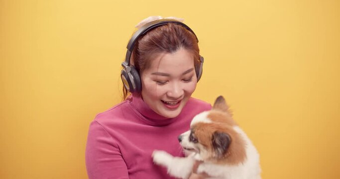 Asian gorgeous woman uses digital tablet and streaming application for happy listening to music on headphones while with playing the dog for relaxation on bright yellow background. Relaxation concept.