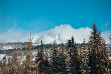 high tatras mountains in slovakia