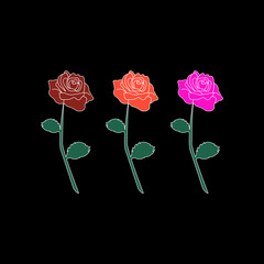 Vector illustration of three colored roses in pink, red and orange on a black background