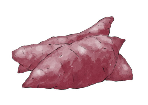 手描きイラスト Images Browse 2 243 Stock Photos Vectors And Video Adobe Stock