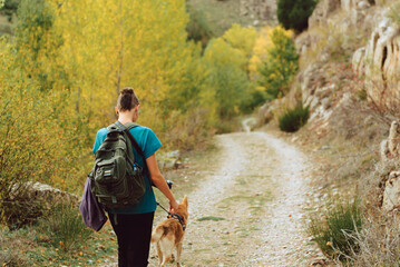 Crop woman with dog hiking in park