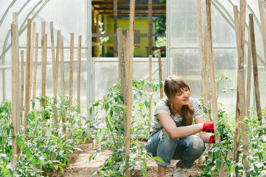 Young woman taking care of cucumbers at greenhouse
