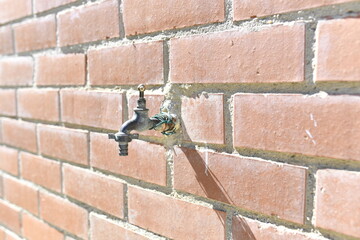 watering tap on a brick wall closed. drought problems. lack of water