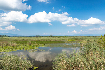 Duzce, Turkey- Ausugust 2022; A pleasant trip to Efteni lake. Efteni lake is quite a visit to the stream. 