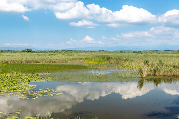 Duzce, Turkey- Ausugust 2022; A pleasant trip to Efteni lake. Efteni lake is quite a visit to the stream. 