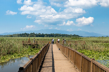 Naklejka premium Duzce, Turkey- Ausugust 2022; A pleasant trip to Efteni lake. Efteni lake is quite a visit to the stream. 