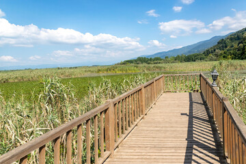 Fototapeta premium Duzce, Turkey- Ausugust 2022; A pleasant trip to Efteni lake. Efteni lake is quite a visit to the stream. 