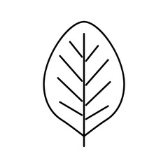 teak leaf line icon vector illustration
