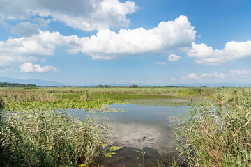 Duzce, Turkey- Ausugust 2022; A pleasant trip to Efteni lake. Efteni lake is quite a visit to the stream. 
