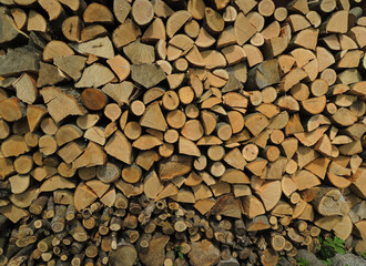 Woodpile of whole and chopped red oak logs texture background
