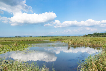 Duzce, Turkey- Ausugust 2022; A pleasant trip to Efteni lake. Efteni lake is quite a visit to the stream. 