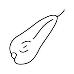 pear conference slice line icon vector illustration