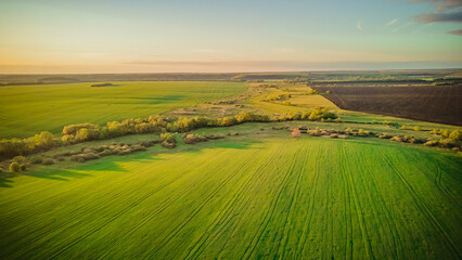 aerial photography of rural nature