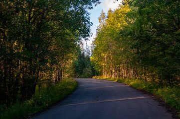 road in the autumn forest