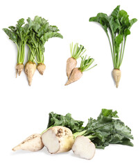 Set with whole and cut sugar beets on white background