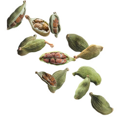 Dry green cardamom pods with seeds falling on white background