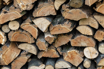  stack of firewood prepared for winter