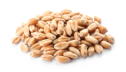 Pile of wheat grains on white background