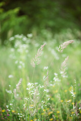 Man on a walk with a guitar and a hat