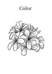 High Resolution Printable Colouring Worksheets for Kindergarten and Preschool Kids, Drawing Practise A4 Printable Designs.