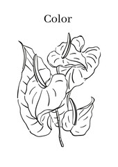 High Resolution Printable Colouring Worksheets for Kindergarten and Preschool Kids, Drawing Practise A4 Printable Designs.