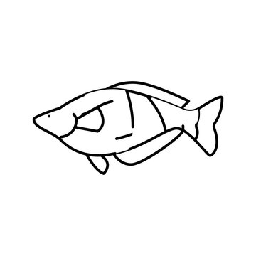 recommend clip art: rainbowfish aquarium fish line icon vector illustration