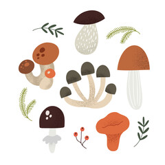 Set with different cute autumn mushrooms, isolated on white vector illustration