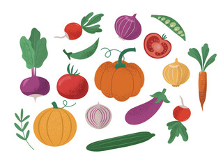 Hand drawn set with different farm agriculture vegetables, autumn food harvesting. Isolated on white vector illustration