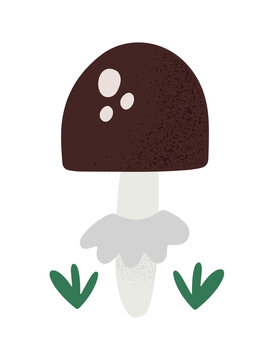 Cute little mushroom with skirt, isolated on white vector illustration