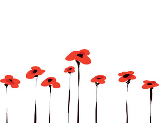 Minimalistic poppy flowers on white background horisontal illustration