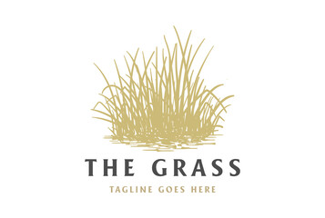 Vintage Retro Grass Meadow Lawn or Wheat Rice Farm Logo Design Vector