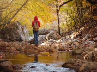 Travel and road trip concept at autumn. Adventure and active lifestyle in nature. Tourist hiking in forest. Asian woman in red hoodie walks in forest. Wanderlust concept.