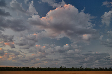 A summer field under a cloudy sunset sky in the gathering twilight of a July evening.