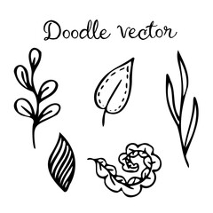 Vector doodle leaves set. Black silhouette line illustration