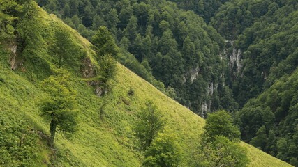 montagnes basques