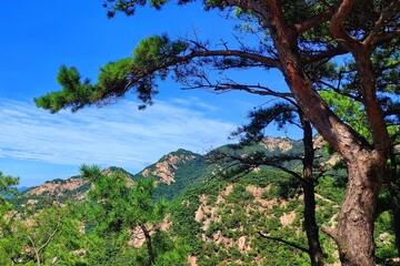 climb to the mountains. Korean mountains. Bukhansan National Park. Hiking. Jokduribong.