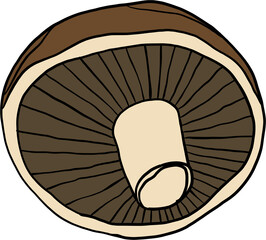 doodle freehand sketch drawing of mushroom vegetable.