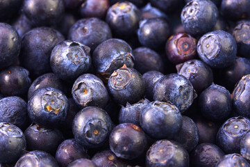 Selective focus, closeup of fresh blueberries, full frame