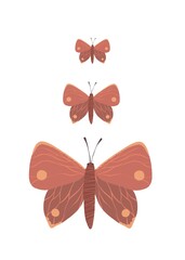 Abstract and unusual butterflies © Anhen Design