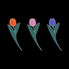 Vector illustration of three colorful tulips in red, pink and blue on a black background